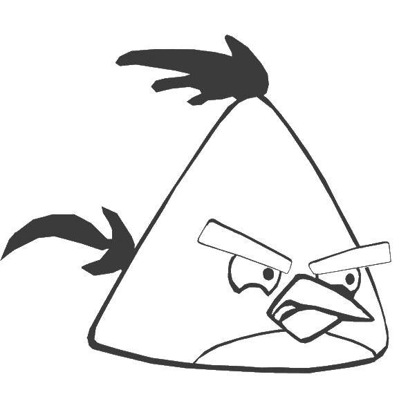 Название: Раскраска Птичка из энгри бердс. Категория: angry birds. Теги: angry birds, энгри бердс, птицы, игры.