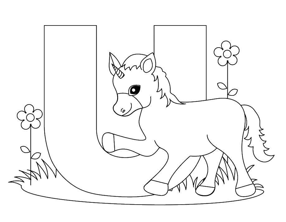 Раскраска Буква u unicorn единорог Скачать ,английский язык, буквы, единорог,.  Распечатать 