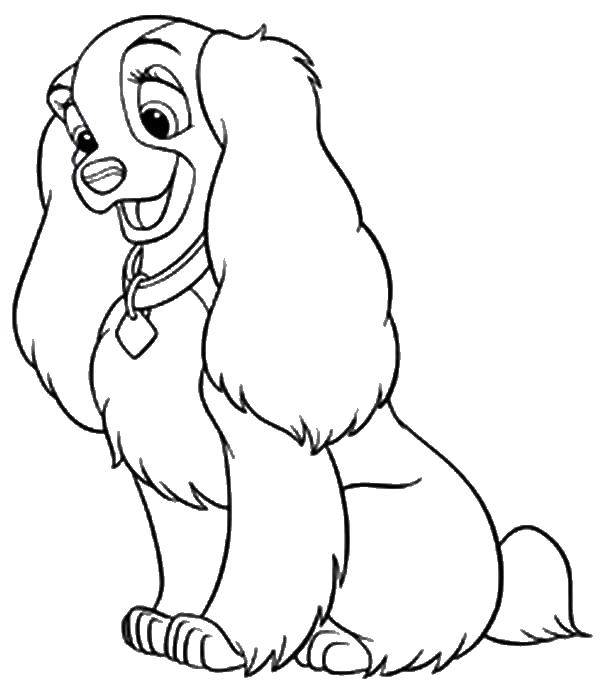 Раскраска леди и бродяга Скачать ,леди, бродяга, коккер спаниель,.  Распечатать 