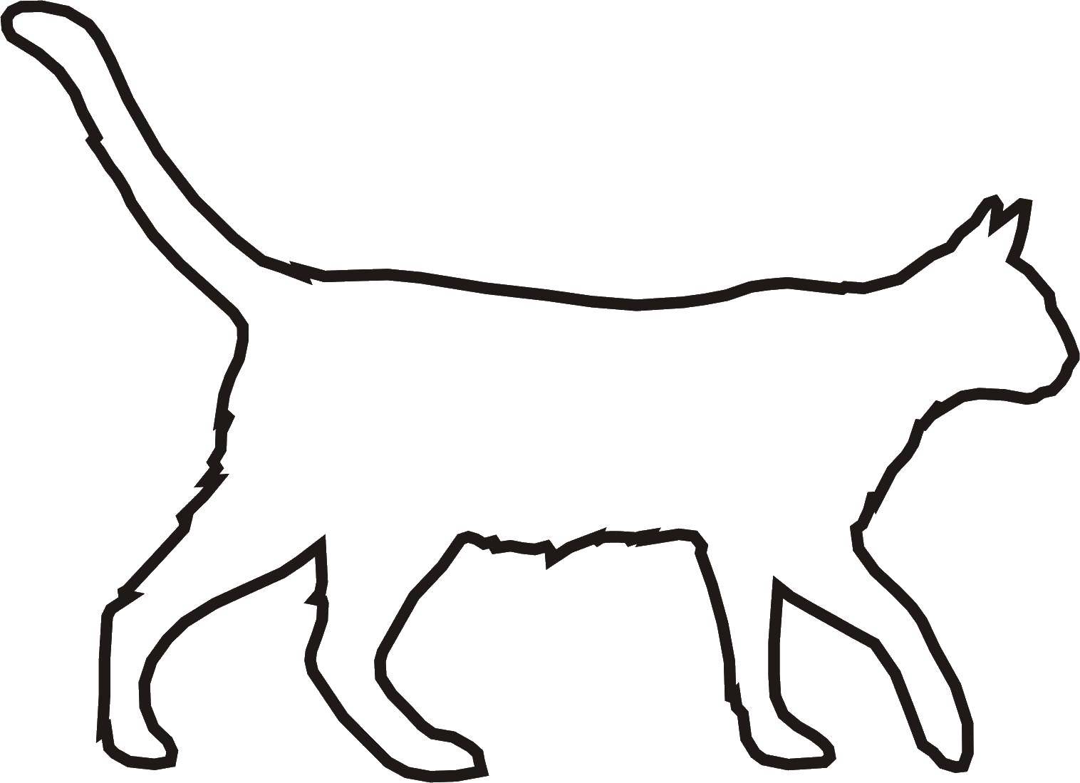 Раскраска Кошка Скачать ,животные, дом, кошка,.  Распечатать 