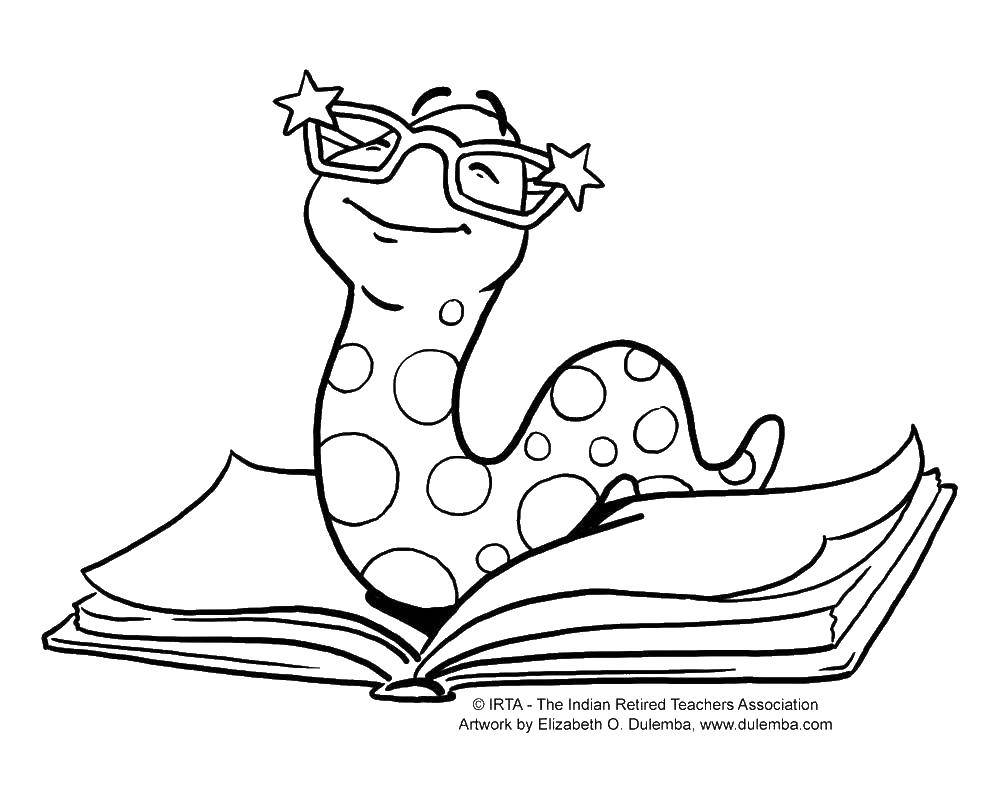 Раскраска Книжный червь Скачать ,книга, червь,.  Распечатать 