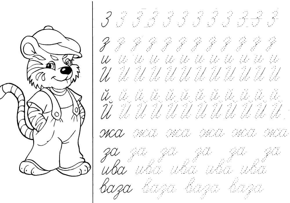 Раскраска Тигренок, Скачать ,пропись, тигренок, буква З, буква И,.  Распечатать 