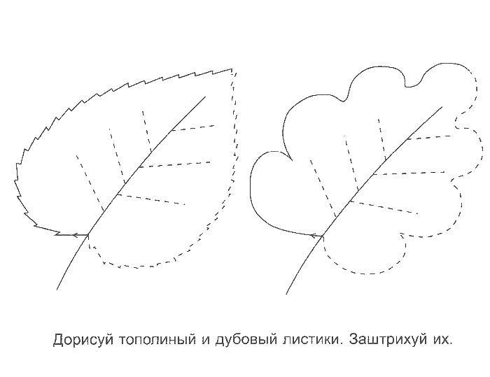 Раскраска Листочки Скачать ,листочки, штриховка,.  Распечатать 