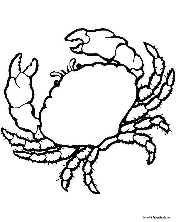 Раскраска Большой краб Скачать ,морские жители, крабы, краб,.  Распечатать 