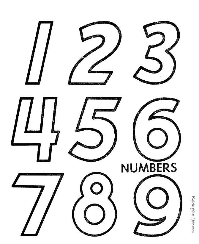 Название: Раскраска Цифры. Категория: Цифры. Теги: цифры, 1, 2, 3, 4, 5, 6, 7, 8, 9.