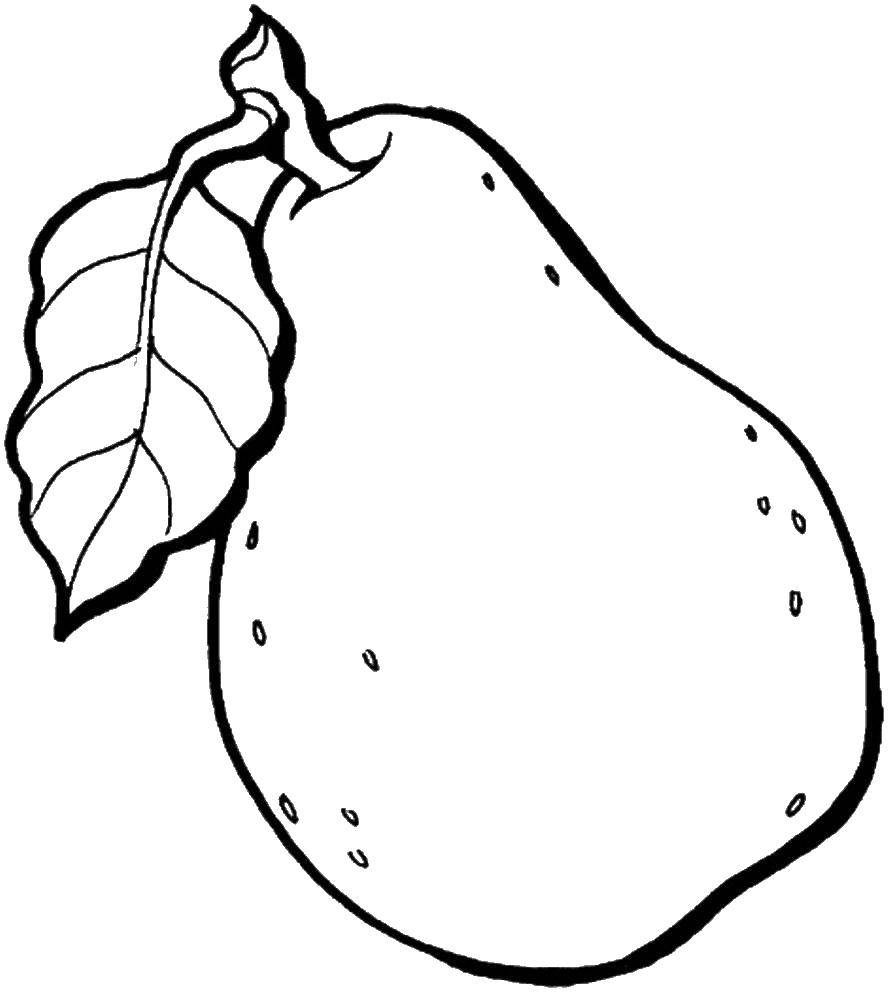 Название: Раскраска Груша. Категория: Фрукты. Теги: фрукт, груши.