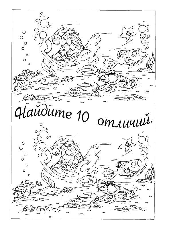 Раскраска Раскраска-загдка Скачать ,загадка, на мышление, логика, отличия,.  Распечатать 