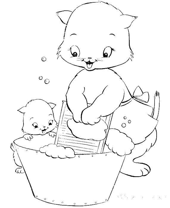 Раскраска Мама кошка стирает с котенком Скачать ,мама кошка, котята,.  Распечатать 