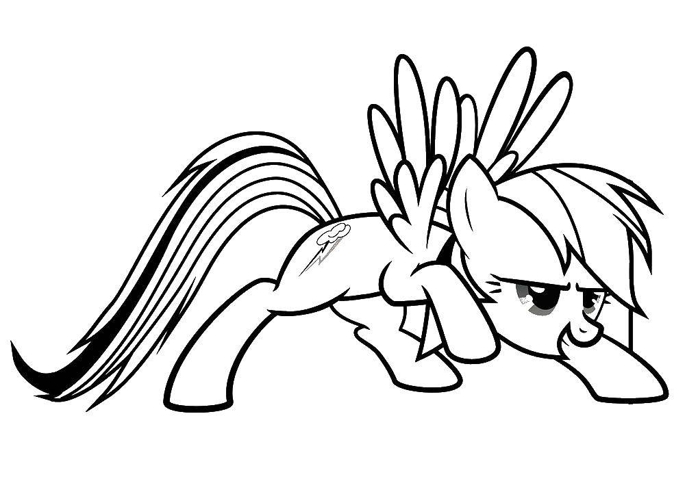Название: Раскраска Крадущийся пони. Категория: Пони. Теги: Пони, My little pony .