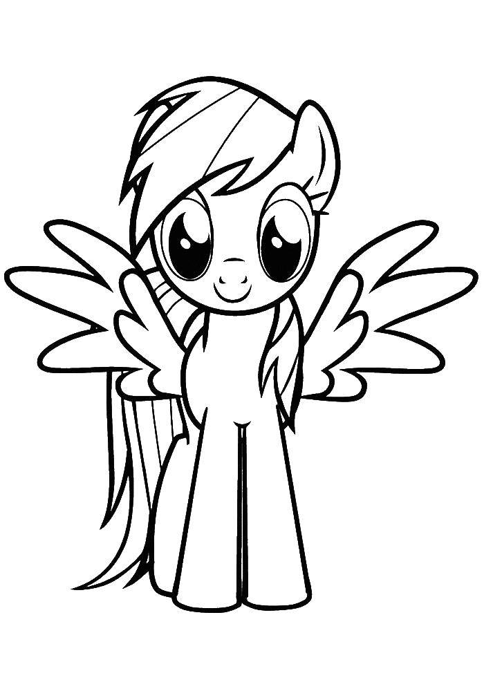 Название: Раскраска Крылатый пони. Категория: Пони. Теги: Пони, My little pony .