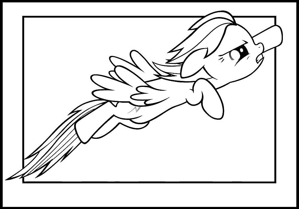 Название: Раскраска Летящий пони. Категория: Пони. Теги: Пони, My little pony .