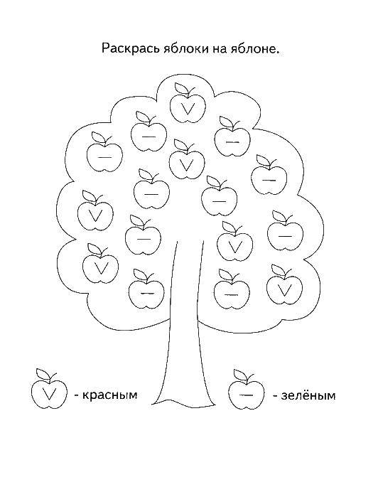 Название: Раскраска Раскрась яблочки разными цветами. Категория: раскраски на логику. Теги: Логика.