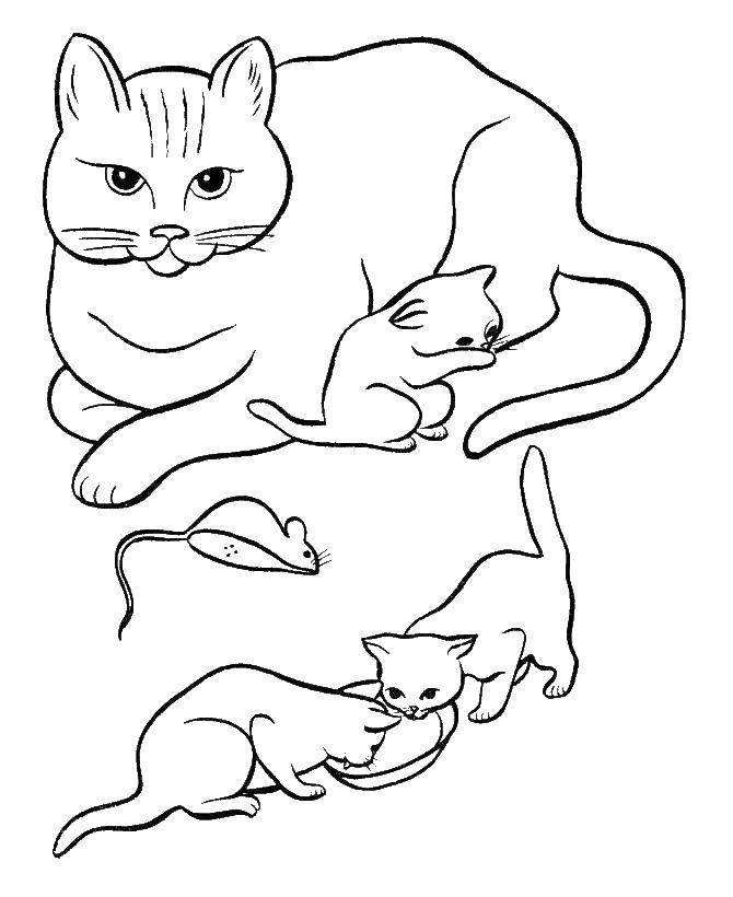 Раскраска Кошечка с маленькими котятами Скачать ,маленькие котята, мышка, кошка,.  Распечатать 