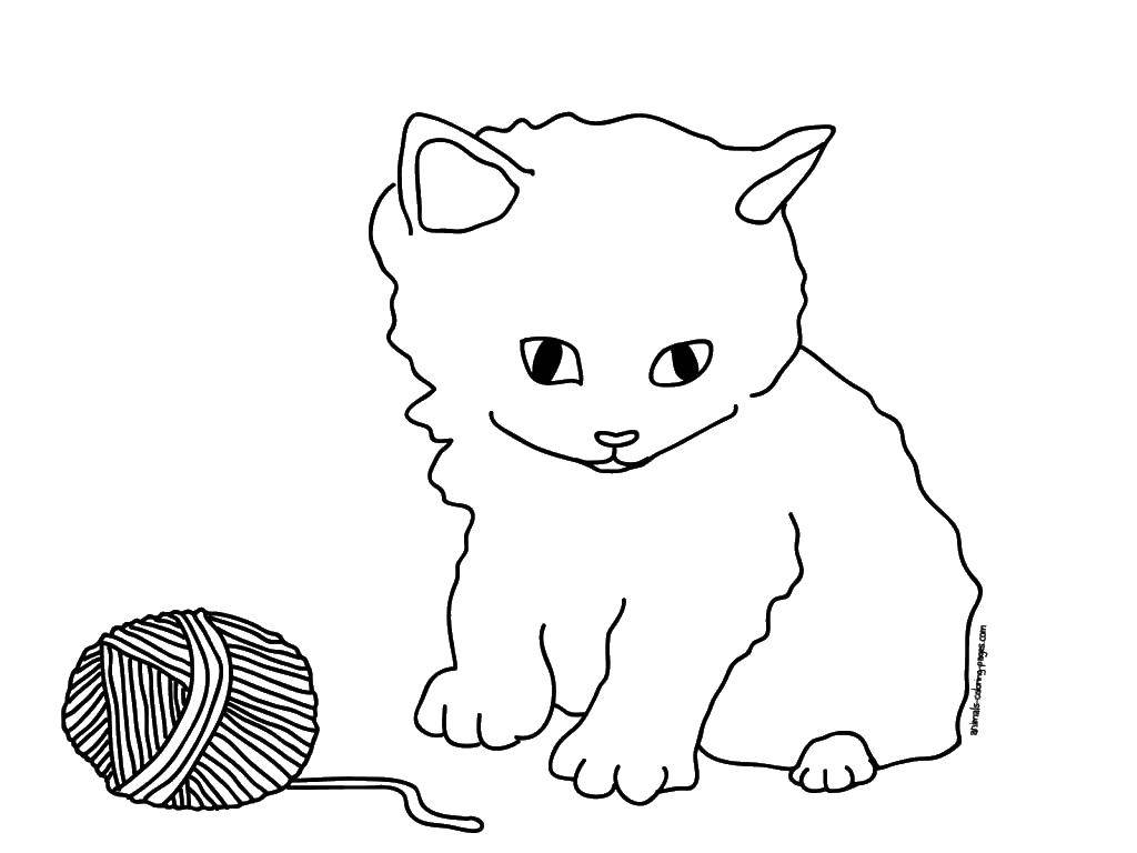 Раскраска Котенок с клубком Скачать ,котенок клубок,.  Распечатать 
