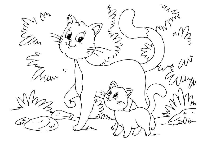 Раскраска Котята гуляют Скачать ,гулять, кошка, котенок,,.  Распечатать 
