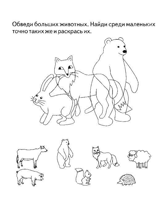 Раскраска Обведи животных и раскрась их Скачать ,Логика,.  Распечатать 
