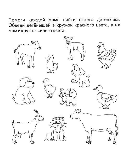 Раскраска Помоги каждой маме найти своего детёныша Скачать ,Логика,.  Распечатать 