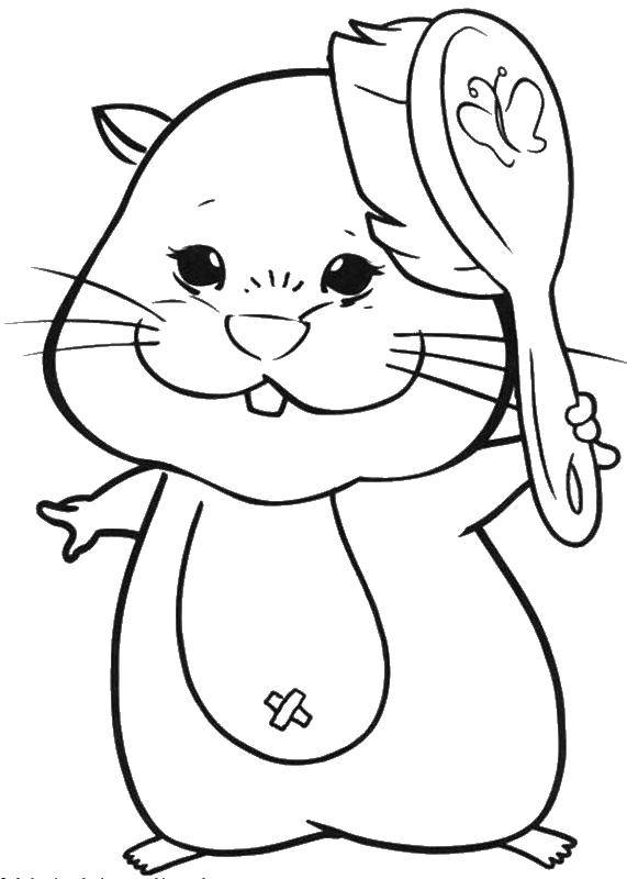 Раскраска Хомячок с расческой Скачать ,Причёски,.  Распечатать 