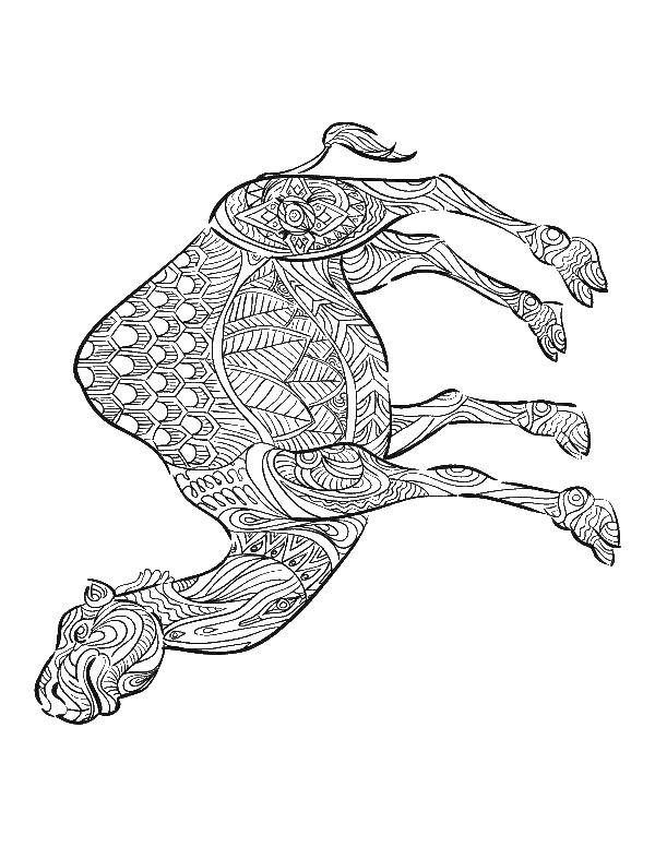 Раскраска Раскраска-антистресс Скачать ,узоры, фигуры, антистресс, верблюд,.  Распечатать 