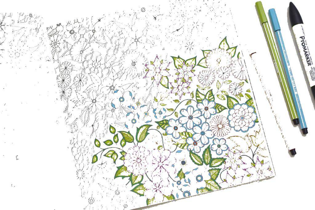 Раскраска раскраски антистресс Скачать .  Распечатать 