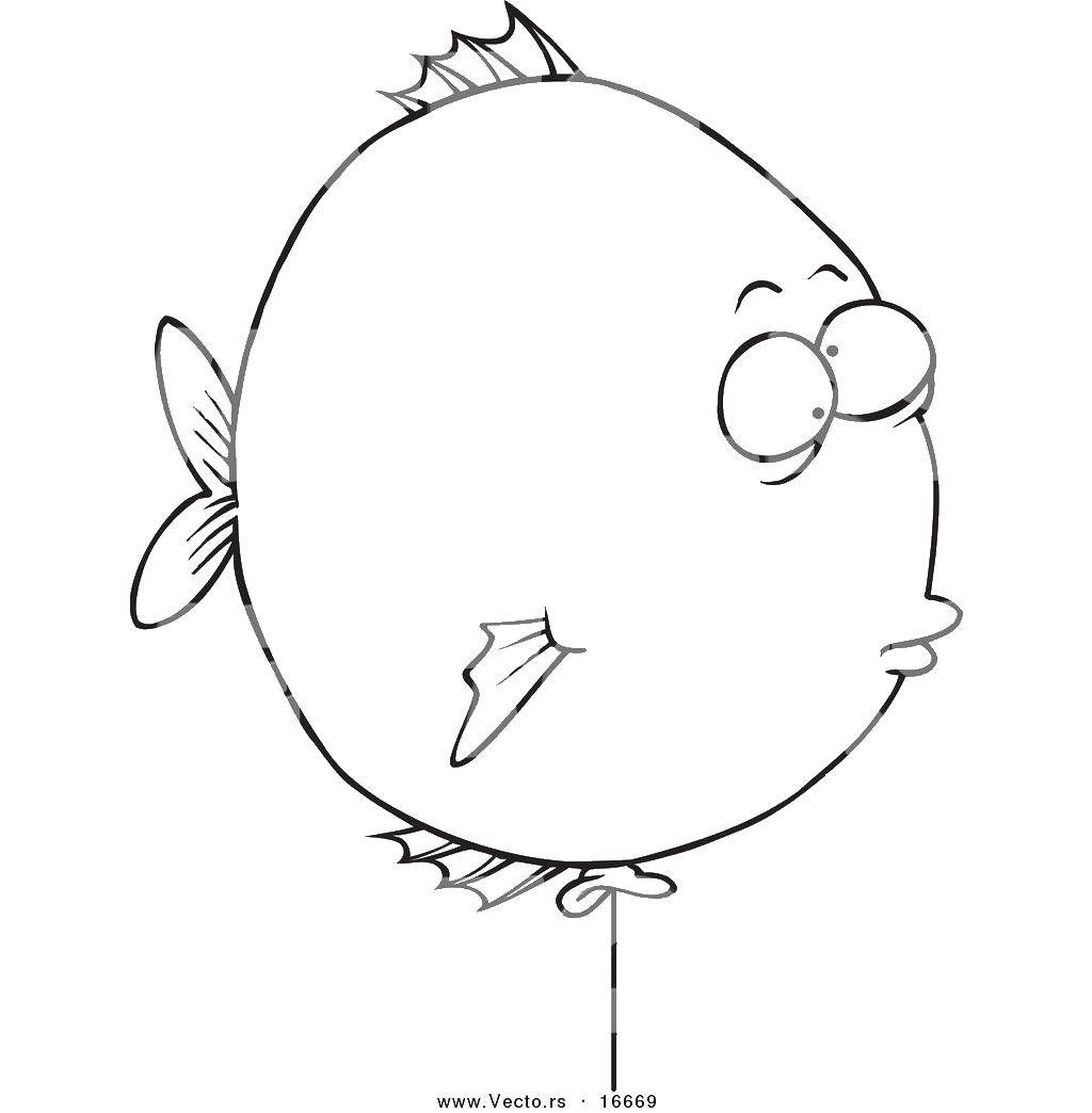 Название: Раскраска Рыба шарик. Категория: рыбы. Теги: рыбы, шарики.