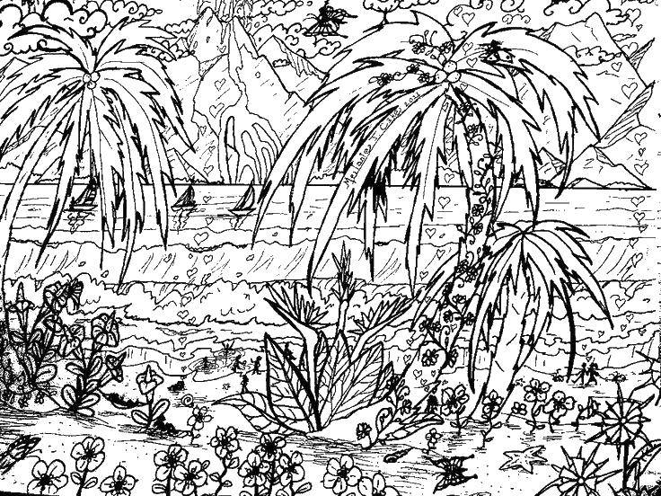 Раскраска Пальмы и пляж Скачать ,пляж, море, пальмы, цветы,.  Распечатать 
