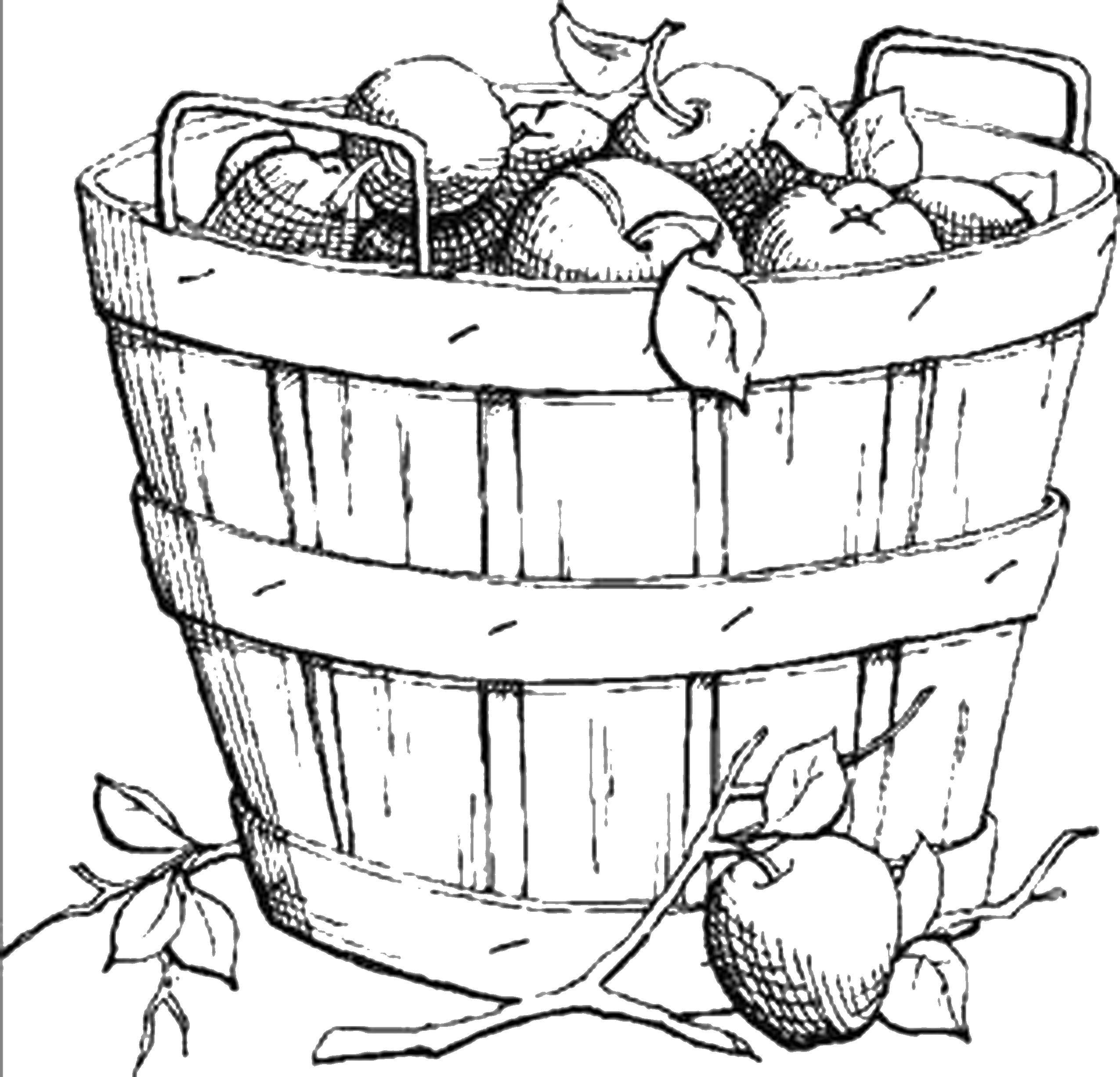 Раскраска Ведро яблок Скачать ,фрукты, яблоки, ведерко,.  Распечатать 