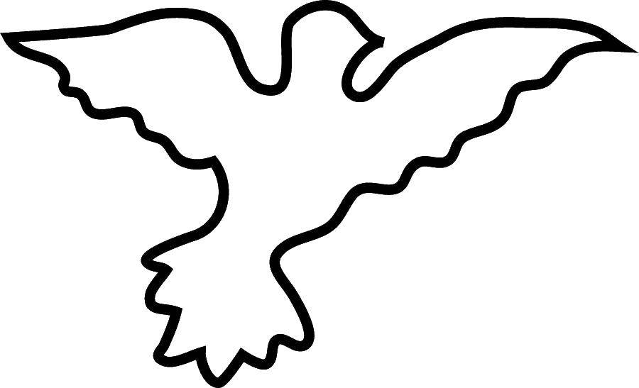 Название: Раскраска Контур парящей птицы. Категория: птицы. Теги: птицы, контуры.