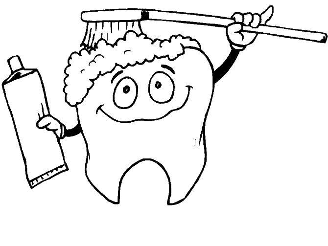 Название: Раскраска Зуб и зубная щетка. Категория: раскраски. Теги: зуб, зубная паста, щетка.