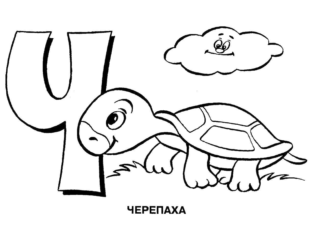 Раскраска Черепаха на букву ч Скачать ,алфавит, черепаха,.  Распечатать 