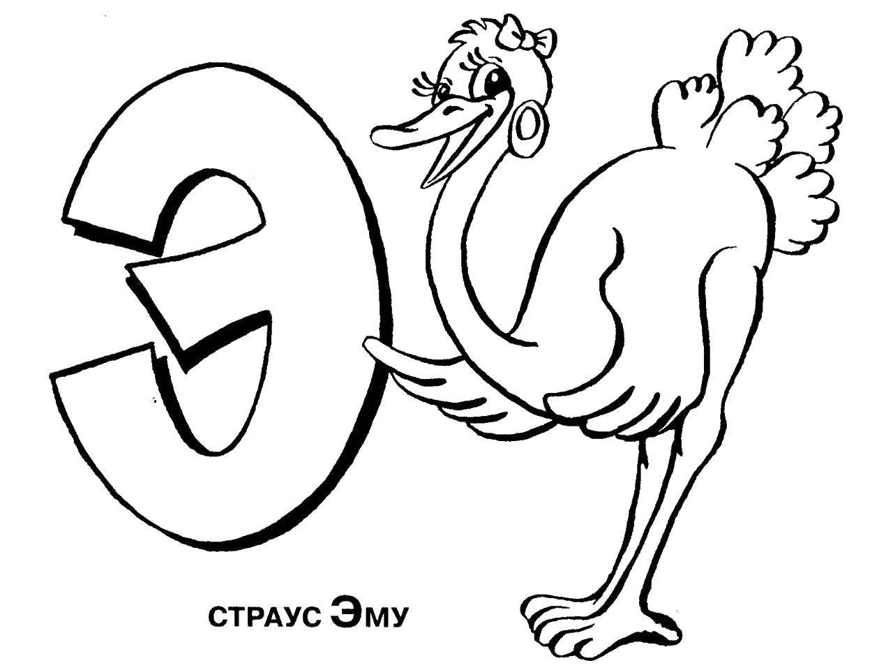 Раскраска Эму на букву э Скачать ,алфавит, Эму,.  Распечатать 