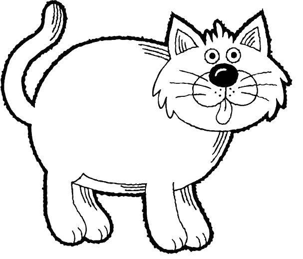 Раскраска Кот с языком Скачать ,кот, хвост, язык,.  Распечатать 