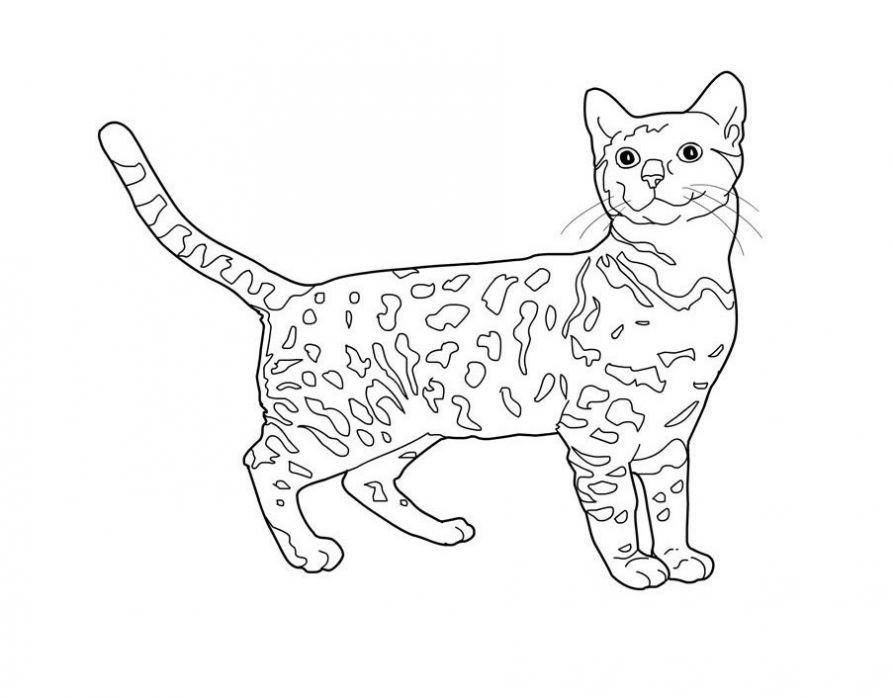 Раскраска Рисунок пятнистого кота Скачать ,кошка,кот,.  Распечатать 