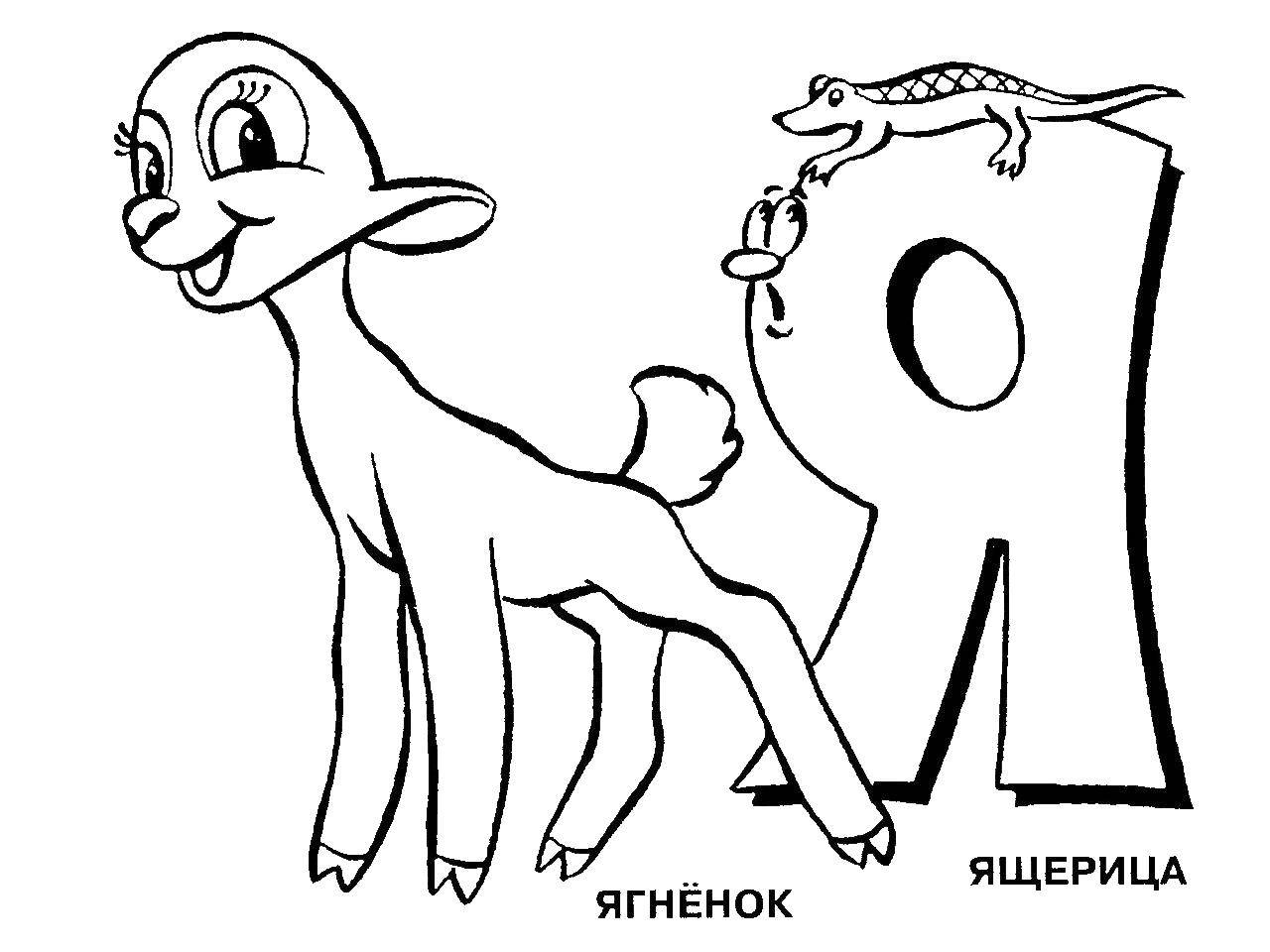Раскраска Ягненок Скачать ,ягненок, я,.  Распечатать 