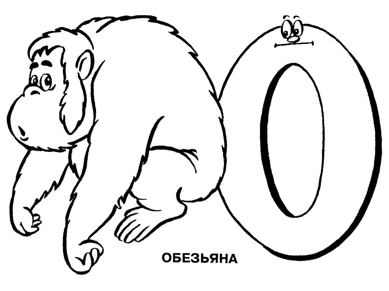 Название: Раскраска Буква о. Категория: алфавит. Теги: буква, обезьяна.