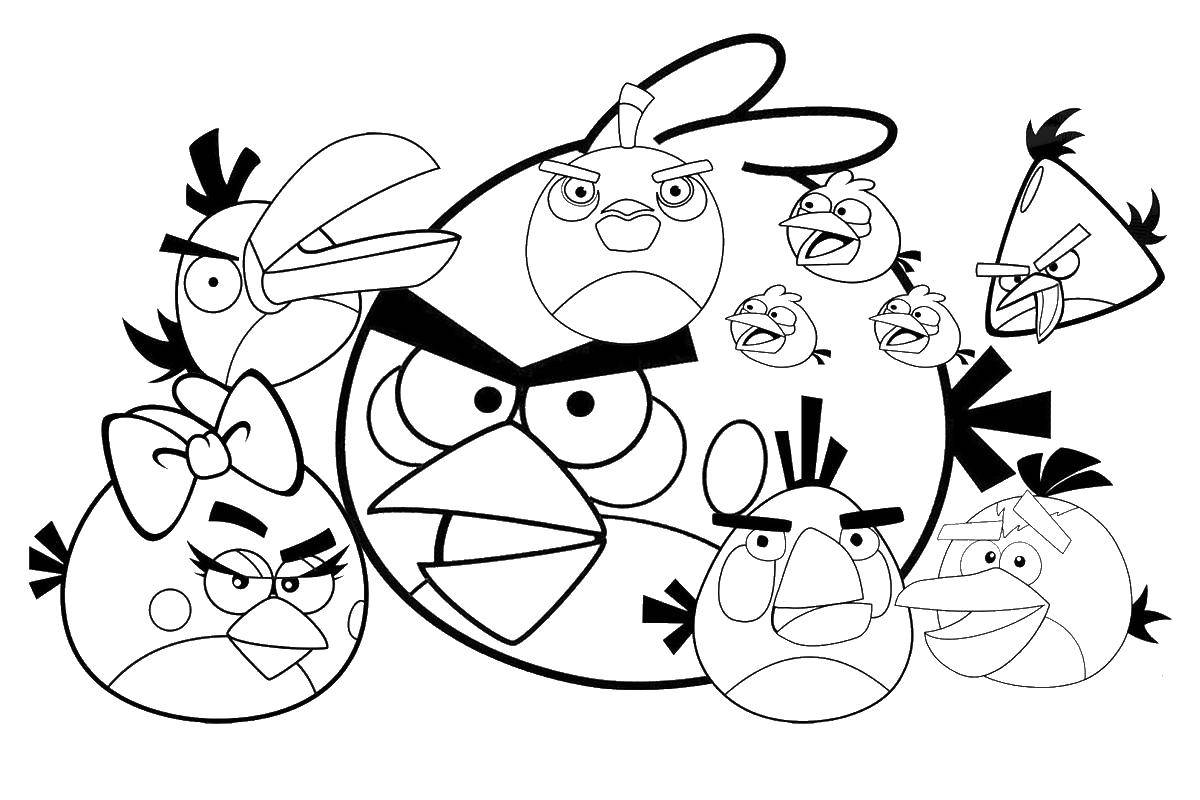 Раскраска Птицы angry bird Скачать ,птица, angry birds,.  Распечатать 