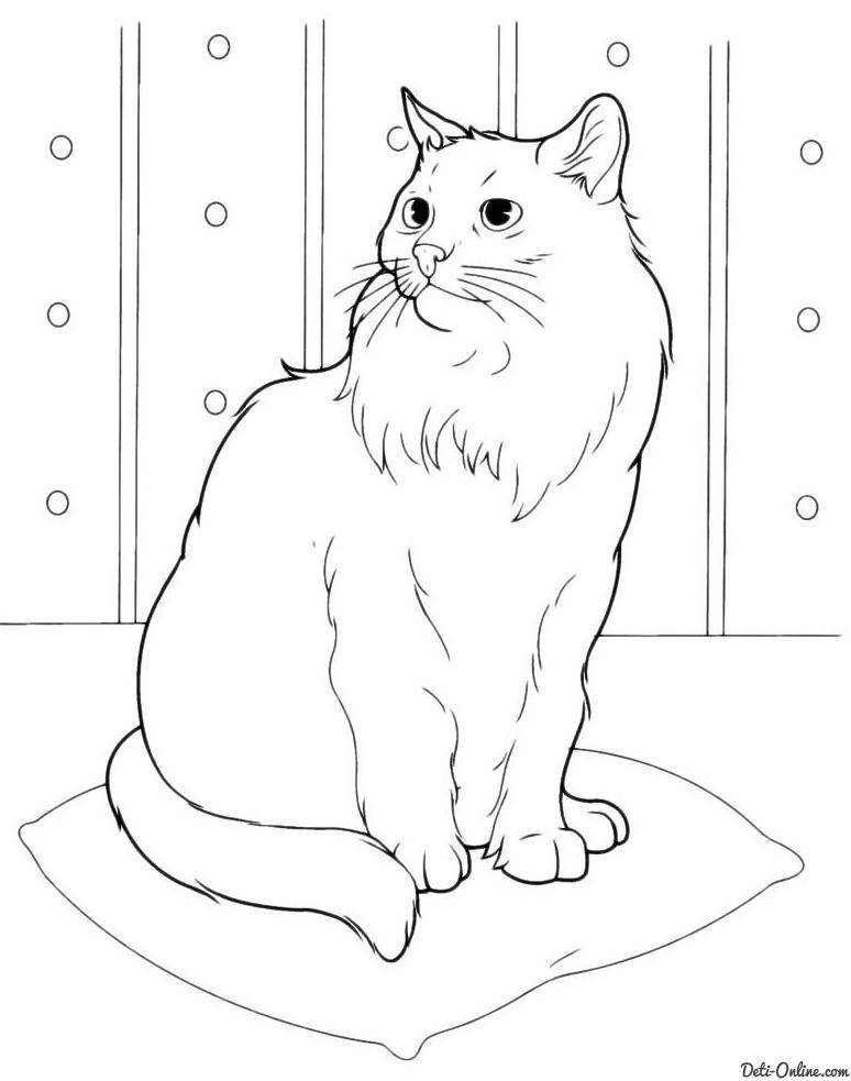 Раскраска Рисунок пушистого кота Скачать ,кошка,кот,.  Распечатать 