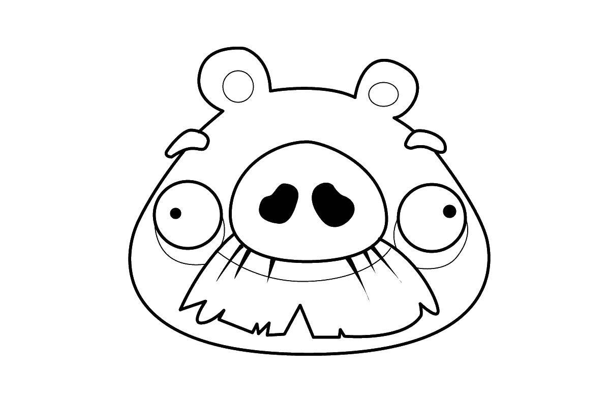 Раскраска Свинка с усами из angry birds Скачать ,angry birds, свинья,.  Распечатать 