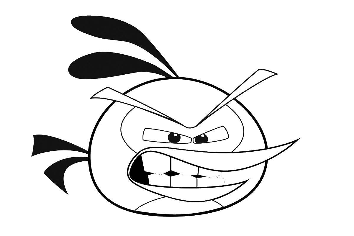 Раскраска Злая птица из angry birds Скачать ,птица, angry birds,.  Распечатать 