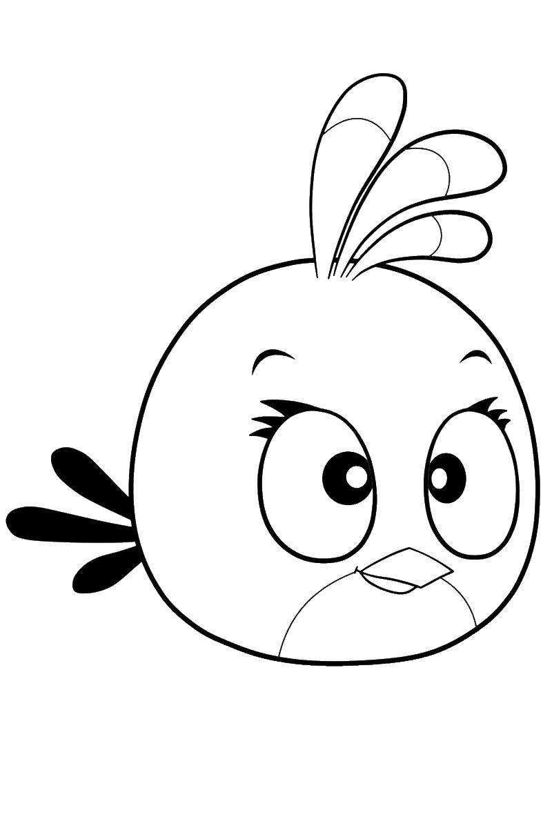 Название: Раскраска Птенчик из angry birds. Категория: angry birds. Теги: птица, angry birds.