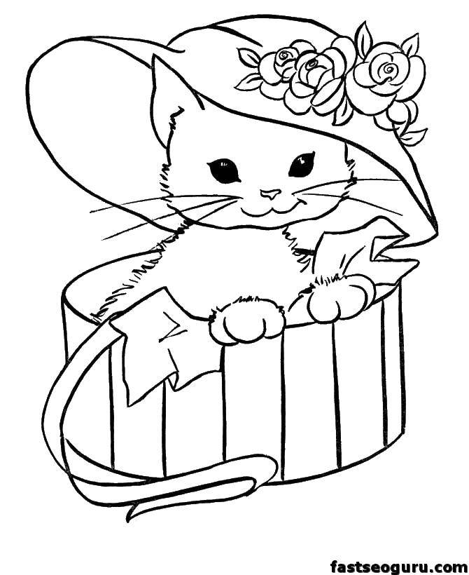 Раскраска Кошечка в шляпке Скачать ,кошка, шляпа, кошечка,.  Распечатать 