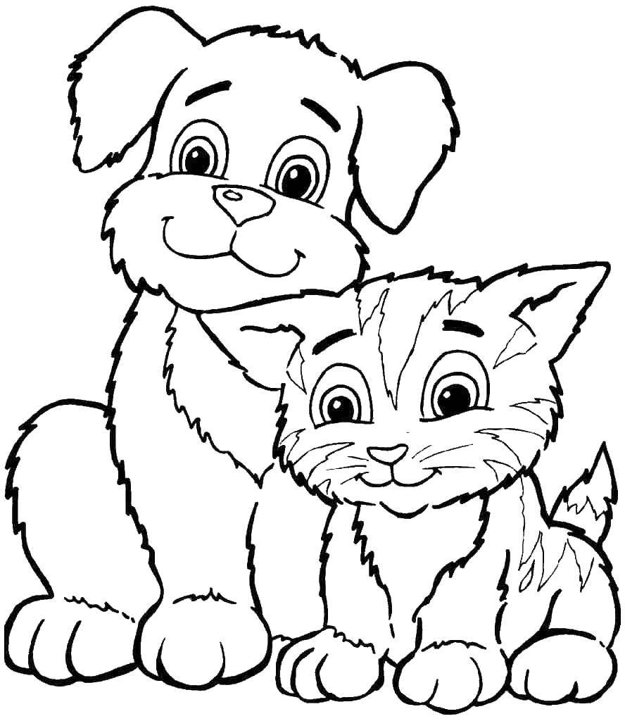 Раскраска Котенок и щенок Скачать ,котенок, щенок, хвостик, ушки,.  Распечатать 