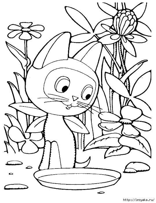 Раскраска Кошечка Скачать ,котята, кошки, природа,.  Распечатать 