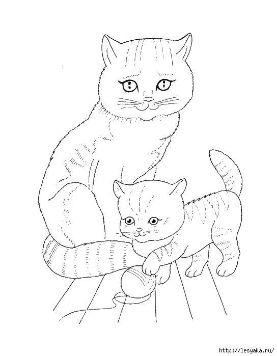Раскраска Кошка и котенок с клубком Скачать ,кошка, котенок, клубок,.  Распечатать 