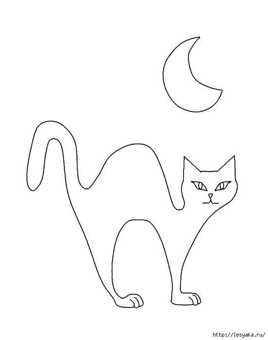 Раскраска Кошка и месяц Скачать ,кошка, хвост, луна,.  Распечатать 