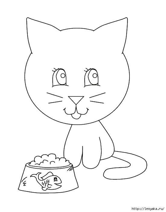 Раскраска Котенок и миска корма Скачать ,котенок, миска, корм, рыбка,.  Распечатать 