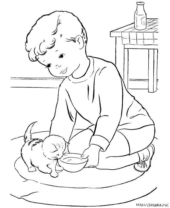 Раскраска Мальчик с котенком Скачать ,мальчик, котенок, молоко, миска,.  Распечатать 