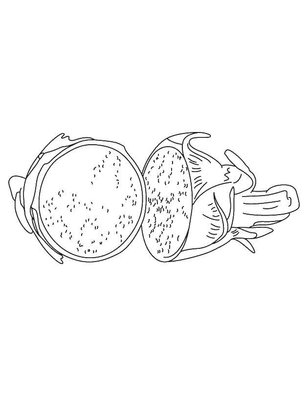 Раскраска Питайя Скачать ,питайя, фрукт,.  Распечатать 