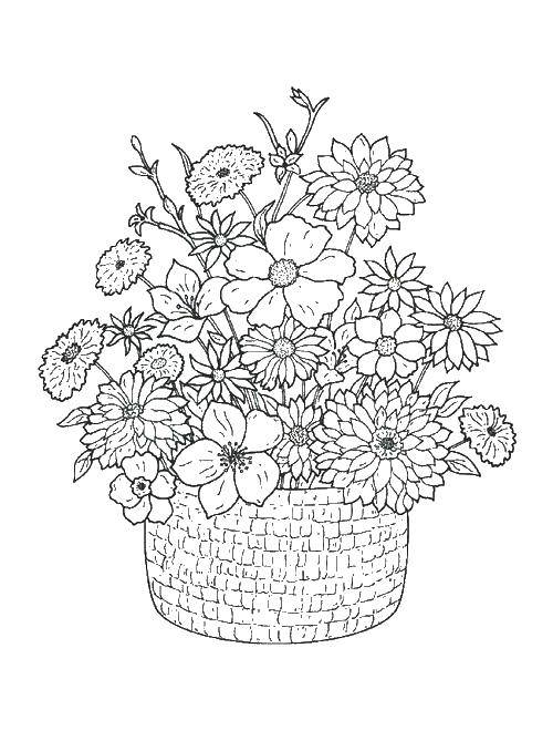 Раскраска Цветы в корзине Скачать ,цветы, корзина, подарки,.  Распечатать 