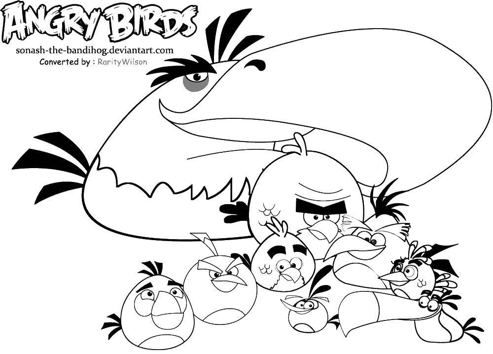 Раскраска Angry birds Скачать ,птички, игры,angry birds, птицы,.  Распечатать 